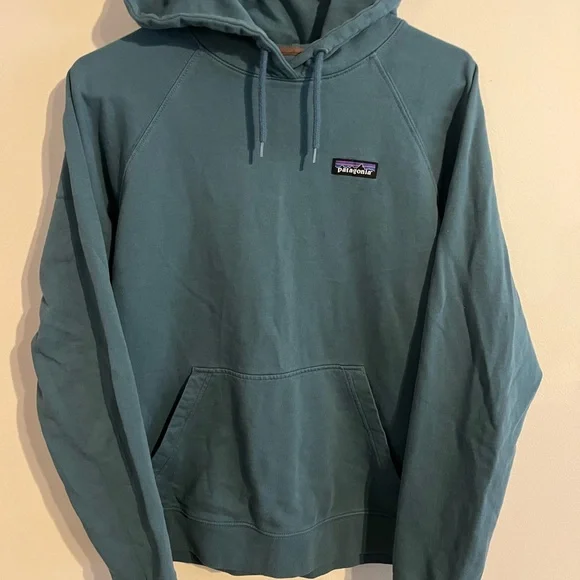 Patagonia Women's organic Teal Hoodie - Picture 2 of 5